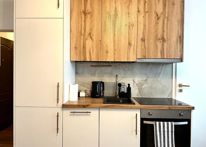 Dabrowskiego - Self Check-in 20h - Lift Lejlighed *